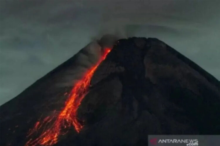 Foto: ANTARA FOTO/Hendra Nurdiyansyah/wsj.