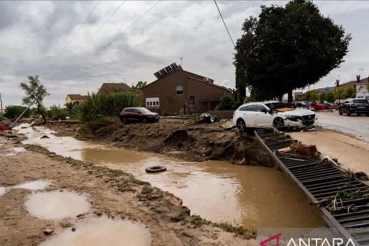 | Foto: /ANTARA/Anadolu/py