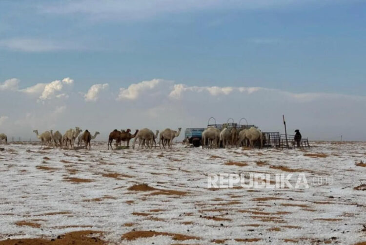 Salju di Al-Jauf Arab Saudi | Foto via Republika: X