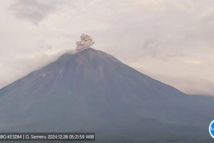 Gunung Semeru erupsi pada Sabtu (28/12/2024) pagi. | Foto: ANTARA/HO-PVMBG