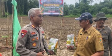 Dukung Program Asta Cita  Polres Bursel Tanam Jagung Serentak
