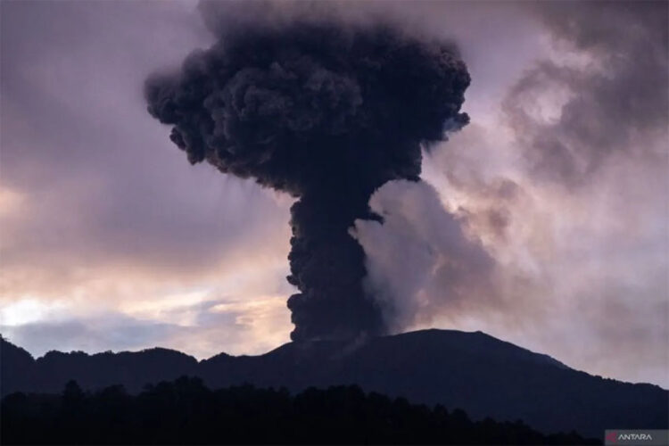 Erupsi Gunung Marapi di Kabupaten Agam, Sumatera Barat. | Foto: ANTARA/Muhammad Zulfikar)